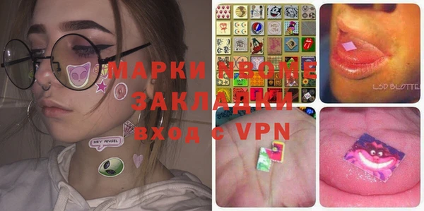 СК Новодвинск